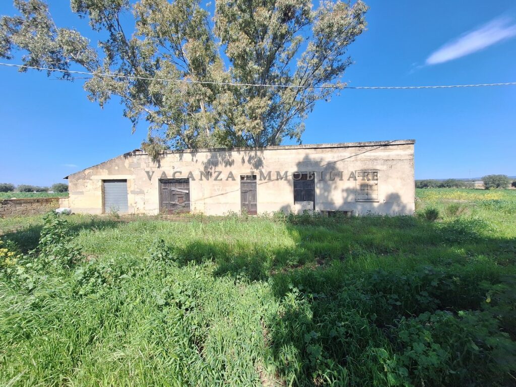 Terreni seminativi